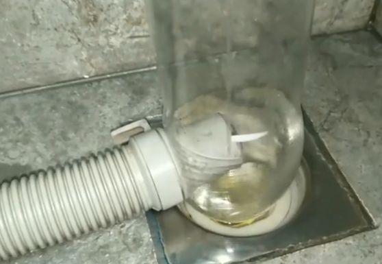 饮料瓶大用途,和洗衣机排水管碰到一起,解决大问题